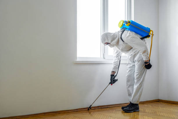 Wasp Removal Services in Clayton, NJ